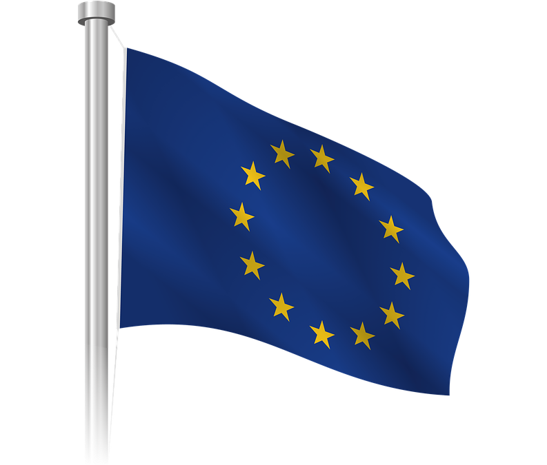 Enkätrapport inför EU-valet 2024